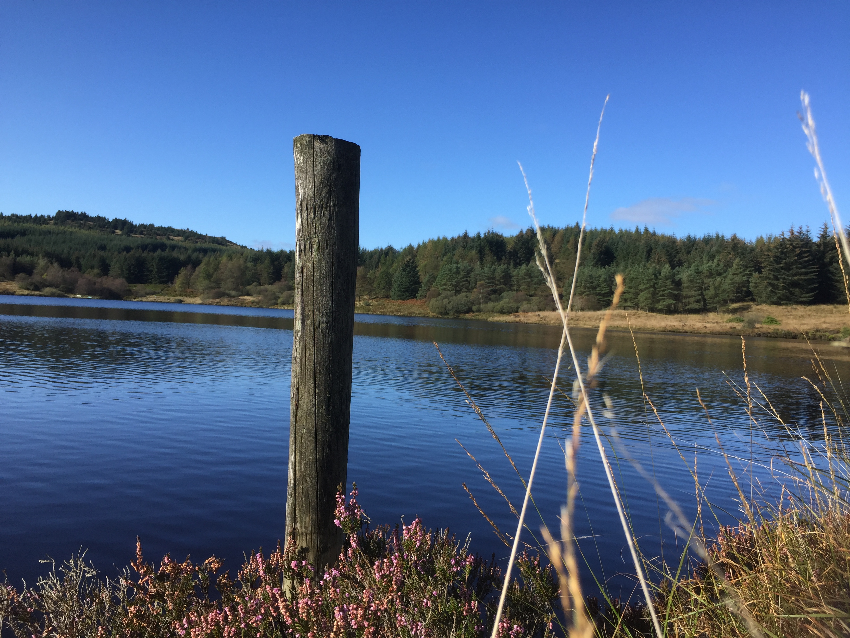 11DB05B6-18D5-40EE-8839-9947FB27479A