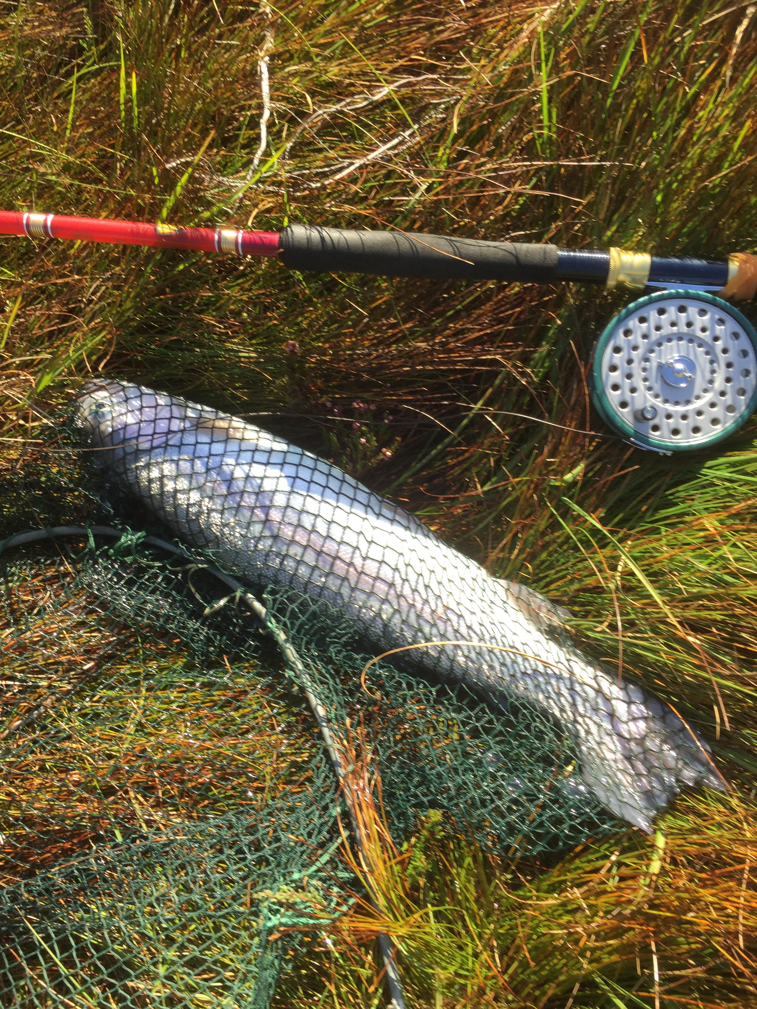 12CB79E0-333E-4399-99BF-AF2905D39B4E